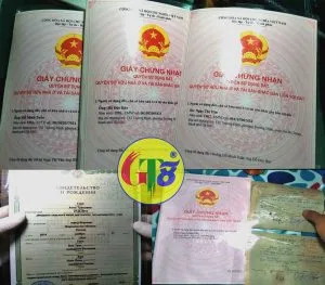 bóc ép plastic hà nội là cơ sở chuyên bóc giấy tờ bị ép plastic tốt nhất hiện nay