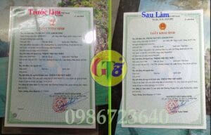 dịch vụ bóc ép plastic gt8aa