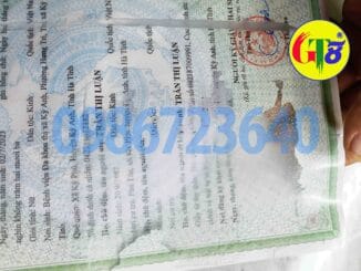 bóc ép plastic hải phòng gt81