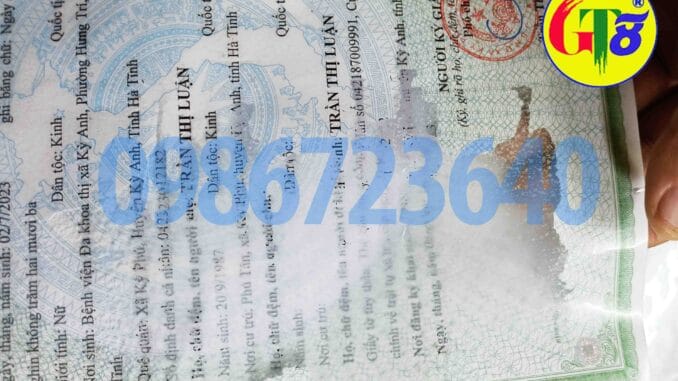 bóc ép plastic hải phòng gt81