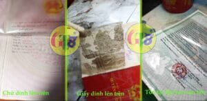 bóc ép plastic thái nguyên gt81