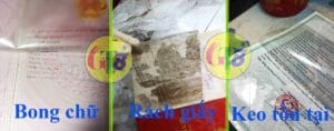 bóc ép plastic hải dương gt8sd