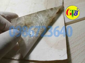 bóc ép plastic yên bái gt8s1