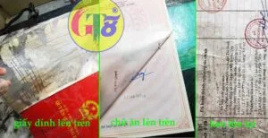 bóc giấy ép plastic hn gt8j