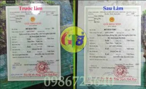 bóc giấy ép plastic gt81