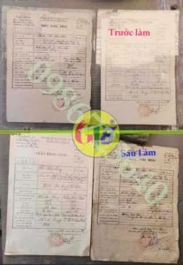 bóc giấy ép plastic đẹp dsa2