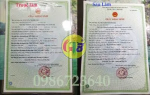 bóc giấy ép plastic ggha