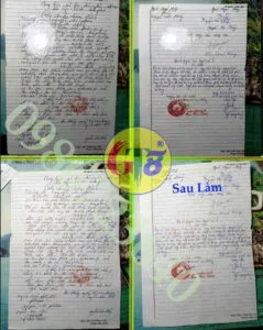 bóc giấy ép plastic đẹp hgt8